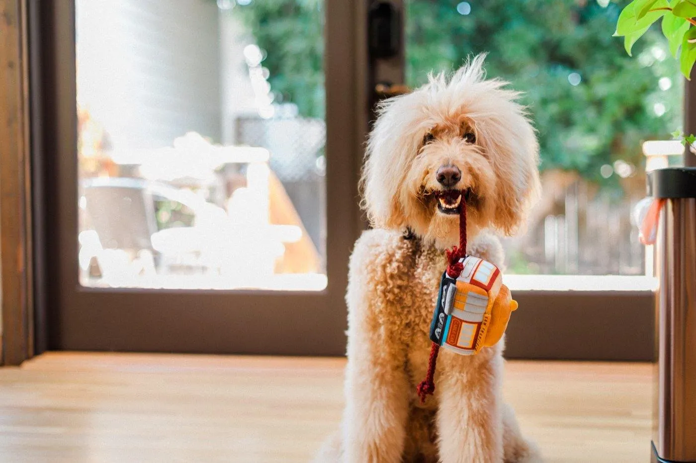Dog Plush Toy - Canine Commute Collection