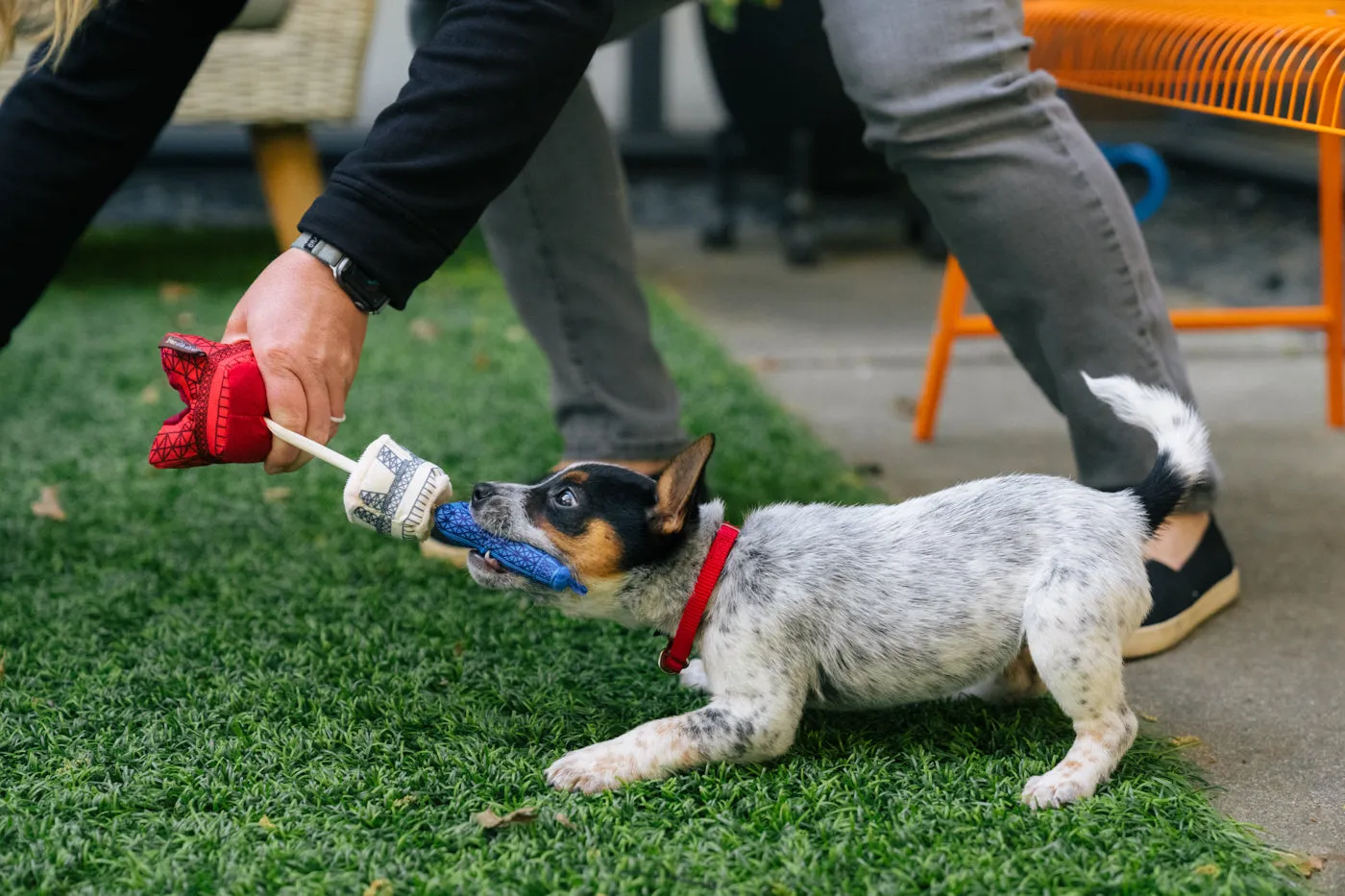 Dog Plush Toy - Totally Touristy Collection