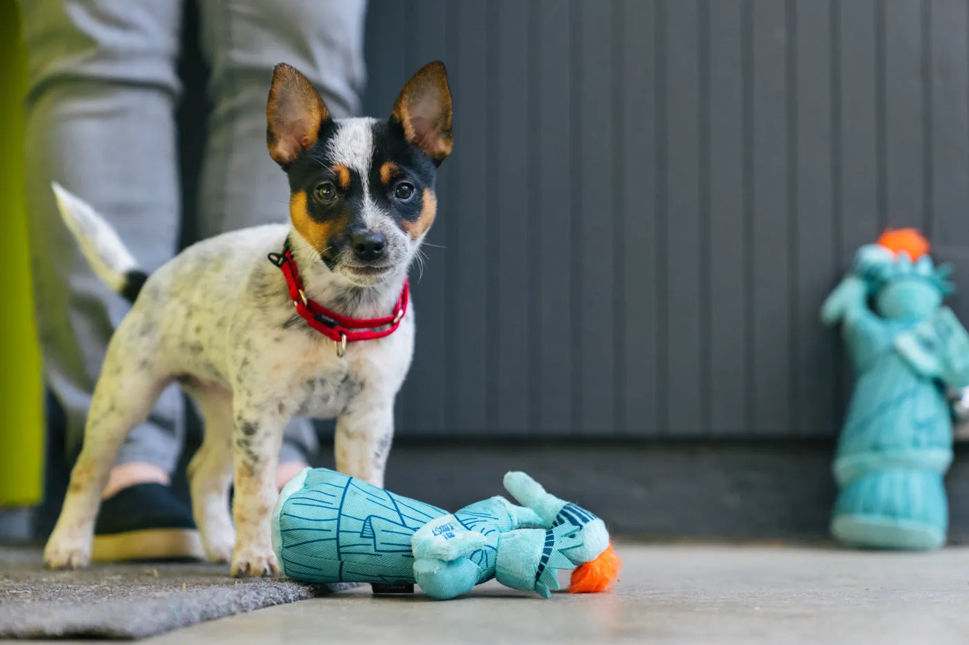 Dog Plush Toy - Totally Touristy Collection