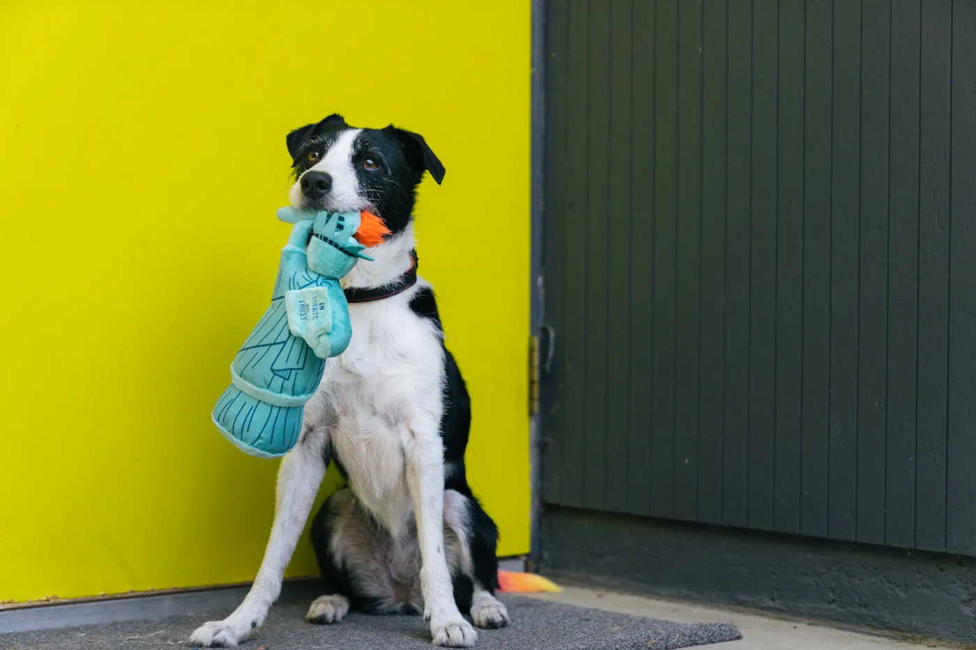 Dog Plush Toy - Totally Touristy Collection