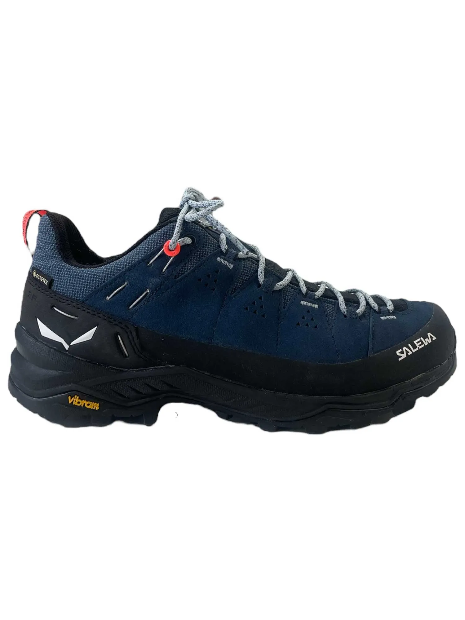 Salewa Women's Alp Trainer 2 GTX Shoe