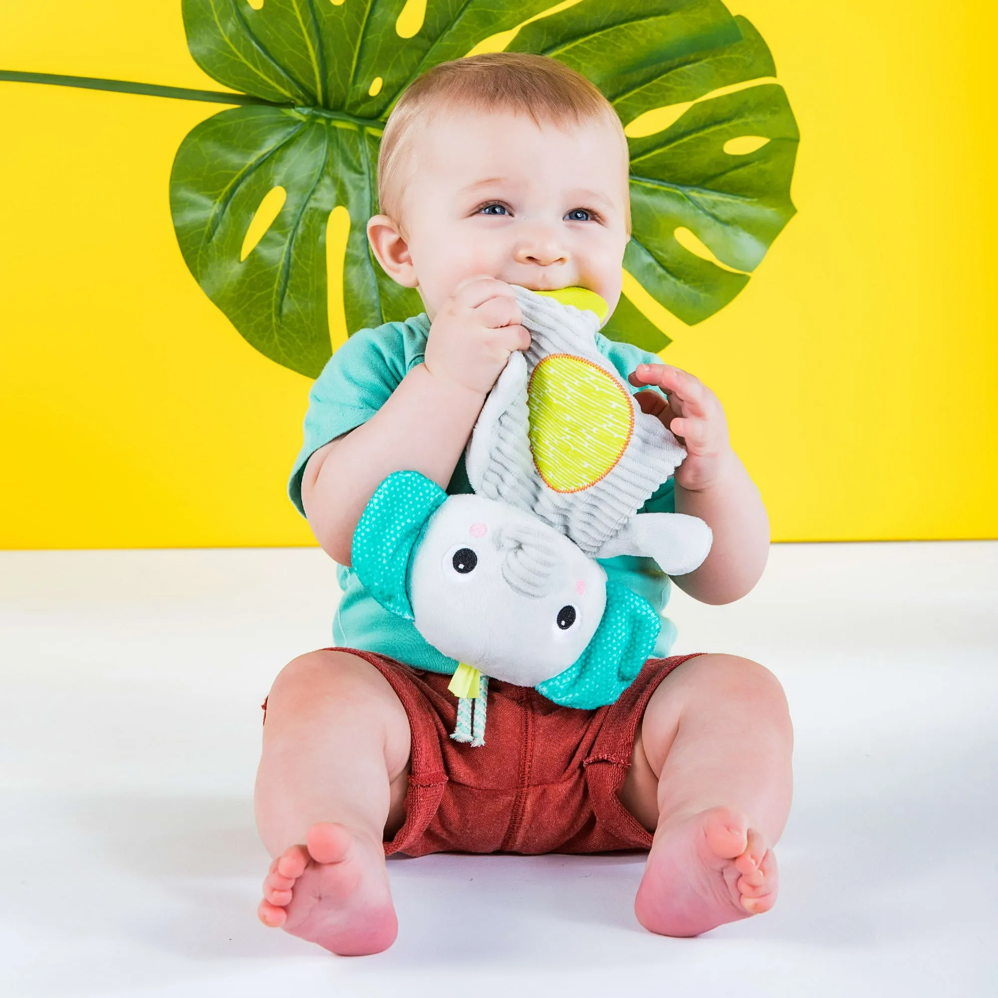 Snuggle & Teethe Plush Teether - Elephant, Ages Newborn  